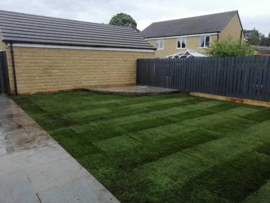 Completed Lawn
